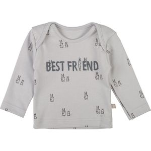 Plum Plum - T-shirt lange mouwen - Bunny - Lichtgrijs