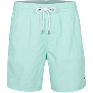 O'Neill heren vert zwemshort logo blauw III