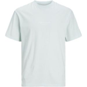 Jack & Jones Junior-T-shirt--Skylight-Maat 176