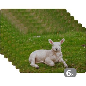 Placemat - Placemats kunststof - Schaap - Dieren - Lam - 45x30 cm - 6 stuks - Hittebestendig - Anti-Slip - Onderlegger - Afneembaar