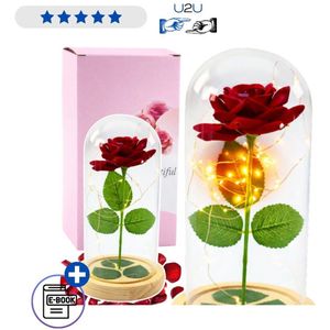 SUFUBAI Led Rose Light onder glas, rode roos licht voor altijd bloem roos licht aanwezig glas roos bloem met led licht geschenken voor vriendin, moeder en oma