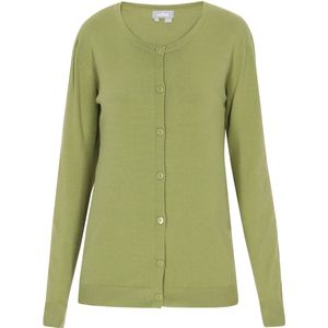 Usha Gebreid vest  appel