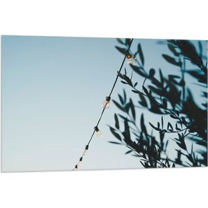 WallClassics - Vlag - Lampslinger bij Groene Takken - 105x70 cm Foto op Polyester Vlag