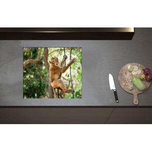 Inductieplaat Beschermer - Aap hangt en zit op takken in de jungle - 58x51 cm - 2 mm Dik - Inductie Beschermer - Bescherming Inductiekookplaat - Kookplaat Beschermer van Zwart Vinyl