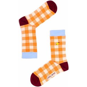 Sticky Lemon - Socks | gingham | berry swirl + cherry red