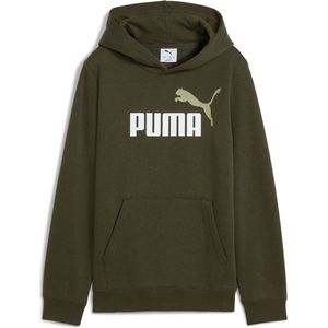 PUMA - No.1 Hoodie - Fleece - Grijs - Katoen/Gerecycled Polyester