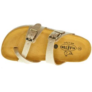 Plakton Lederen Meisjes Teenslipper In Goud maat 31