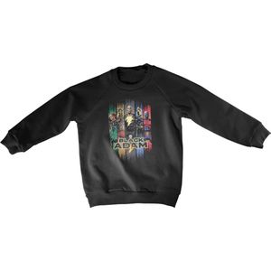 DC Comics Black Adam Sweater/trui kids -Kids tm 8 jaar- Characters Zwart