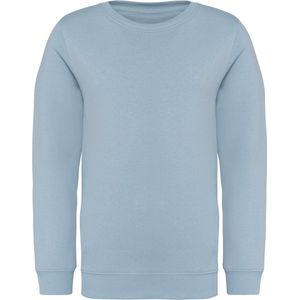 Native Spirit Ecologische kindersweater met ronde hals NS403 - Aquamarine - 12/14 years (12/14 ans)