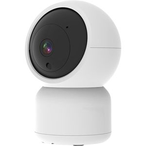 Doorsafe 3122 - 4MP Draaibare beveiligingscamera - voor binnen - internet via 2,4 Ghz WiFi - via Smart Life app van Tuya