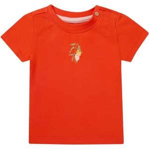 Noppies Shirt 'Minkler'  pasteelgeel / pastelgroen / kreeft / pastelroze