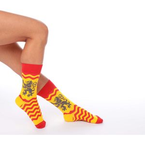 Trendy Socks | 2 Paar| Premium Sokken| Cadeau| Sokken Dames| Gewassen| Geurig| Vrolijk Patroon|Maat 36-41|