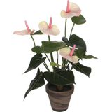 Mica Decorations Anthurium Kunstplant In Bloempot Stan - H40 X Ø30 cm - Lichtroze