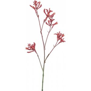 Fleurdirect Kunstbloem Anigozanthos - Kunststof - Roze - 0 x 76 x 0 cm (BxHxD)