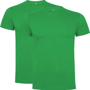 Iers Groen 2 pack Premium t-shirts Roly Dogo maat 6 110-116