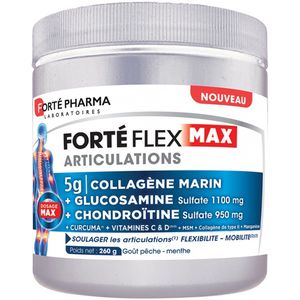 Forté Pharma Forté Flex Max Articulations 260 g