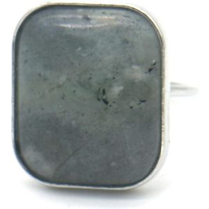 Ring met Grote Steen - Metaal - One Size - Zilverkleurig