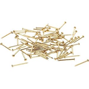 spijkers assortiment - Nagelset aan de Muur, Platte Kopspijkers, Foto Ophangen Spijkers, Wandnagels, Hardware Spijker Assortimentset 100