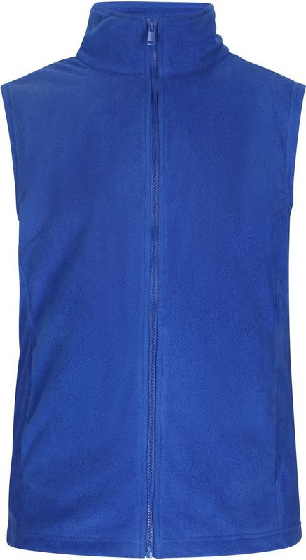 HOMEBASE - Bodywarmer - Blauw