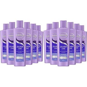 Andrélon Shampoo - Zilver Care - 12 x 250 ml Voordeelverpakking