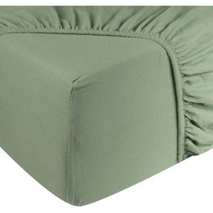 DoubleDry Hoeslaken Jersey 100% Katoen - Tweepersoons 160x200 cm - Zacht & Huidvriendelijk - Rondom Elastiek - Oud Groen
