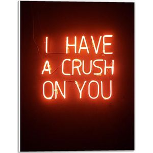 Forex - Rode Neonletters: ''I Have A Crush On You'' - 30x40cm Foto op Forex