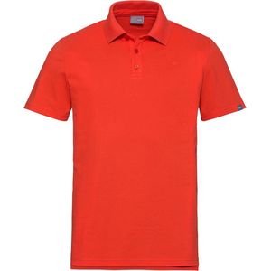 Head Polo