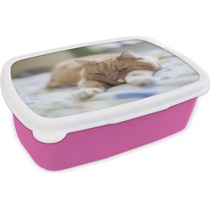 Broodtrommel Roze - Lunchbox Kat - Bed - Bedsprei - Meisjes - Kinderen - Jongens - Kind - Brooddoos 18x12x6 cm - Brood lunch box - Broodtrommels voor kinderen en volwassenen