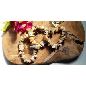 Splitarmband Crazy Lace Agaat