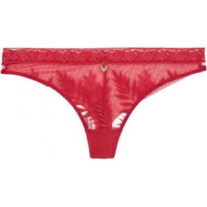 Aubade - Parenthese Tropic - String