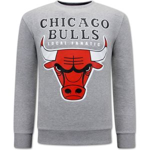 Chicago Bulls Heren Sweater - Grijs