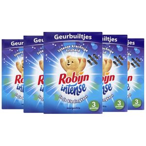 Robijn Morgenfris Geurbuiltjes - 5 x 3 Stuks