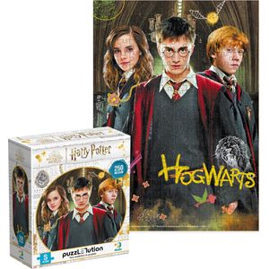 Harry Potter Puzzel 8+ - Legpuzzel 250 stukjes - voor Kinderen en Volwassenen - 23 x 32 cm