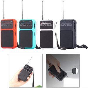 Draagbare AM/FM Radio met Digitale Tuning en Oplaadbare Batterij - Ideaal voor Thuis en onderweg