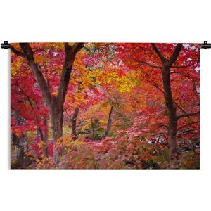 Wandkleed Esdoorn - Kleurrijke Japanse esdoorns Wandkleed katoen 180x120 cm - Wandtapijt met foto XXL / Groot formaat!