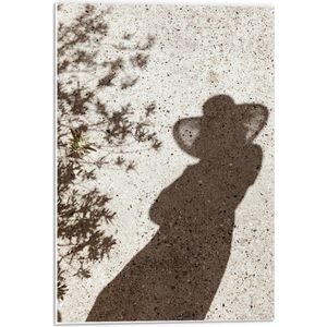 Forex - Schaduw van Vrouw met Hoed en Bloemen - 40x60cm Foto op Forex