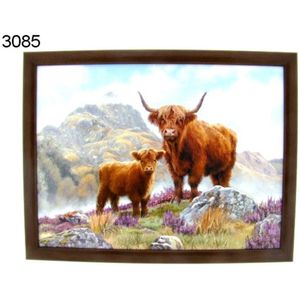 Schootkussen Schotse hooglander