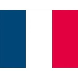 20x Binnen en buiten stickers Frankrijk - Franse vlag stickers - Supporter feestartikelen - Landen decoratie en versieringen