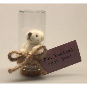 Een knuffel voor jou! Dit schattige beertje maakt deze boodschap nog specialer. Het mini knuffel beertje zit in een glazen stolpje circa 6 cm hoog op een kurk. Een speciaal geschenk wat het hele jaar door gegeven kan worden.