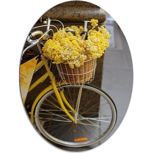 Dibond Ovaal - Mandje van Gele Fiets Gevuld met Bloeiende Gele Bloemen - 60x80 cm Foto op Ovaal (Met Ophangsysteem)