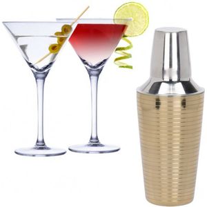 Set van 4x Martini cocktailglazen met cocktailshaker RVS - 220 ml - Cocktails drinken - Cocktails