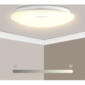 Aigostar 10NLV - LED Plafondlamp - Plafonnière - Dimbaar - Ceiling lamp - 24W - 3000K - Wit