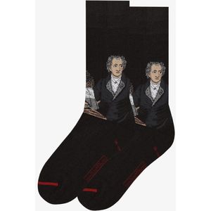 Joseph Karl Stieler - Johann Wolfgang von Goethe 36-40