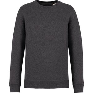 Native Spirit Ecologische uniseks sweater met ronde hals NS400 - Volcano Grey Heather - XL