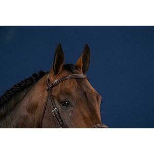 Dy'on Straight Browband Hunter Full Black