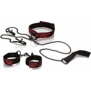 CalExotics - Scandal Submissive Kit - Bondage / SM Collar and leash Zwart