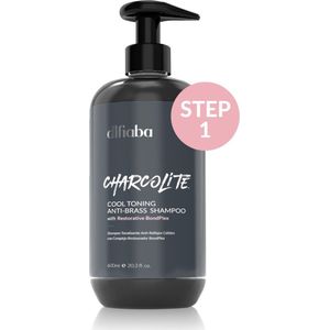 Difiaba Charcolite Cool Toning Anti-Brass Shampoo met Pomp 600ml - Zilvershampoo vrouwen - Voor