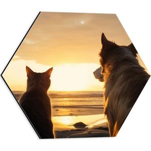 Dibond Hexagon - Hond en Kat Kijkend naar de Ondergaande Zon - 40x34.8 cm Foto op Hexagon (Met Ophangsysteem)