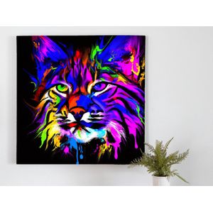 Bobby the bobcat | Bobby the Bobcat | Kunst - 80x80 centimeter op Forex | Foto op Forex