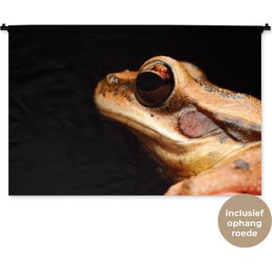 Wandkleed Dieren - Close-up kikker op zwarte achtergrond Wandkleed katoen 150x100 cm - Wandtapijt met foto